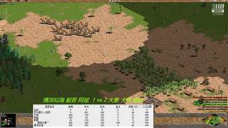 罗马复兴色军的直播间