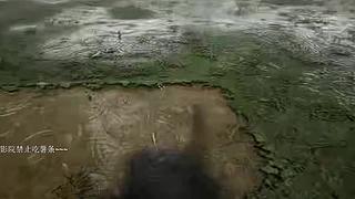 这个游戏是现实吗~~~