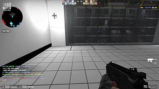 CSGO萌新大逃杀