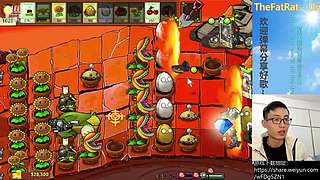 β版植物大战僵尸