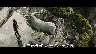 进来看电影咯 10102412