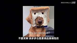 我看诸君皆装X，料诸君看我应如是