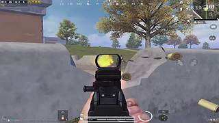 月殿玉兔直播间