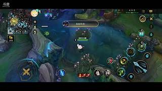 提莫队长正在送命 11025758