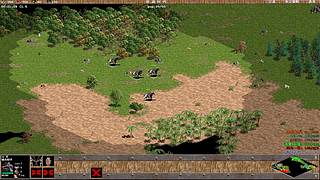 伴青春数日月的直播间