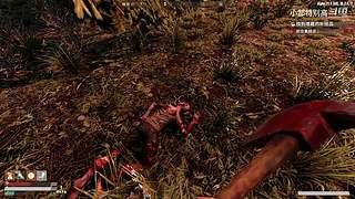 小郜的游戏实况