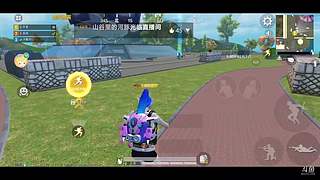 和平精英狗分 11394682