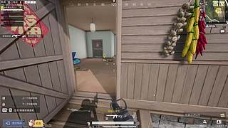 和平精英PC北浩