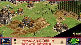 帝国时代2高清版 11472906