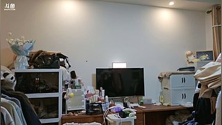 王的一天 11720236