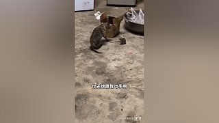 星球大战前线2玩玩看。