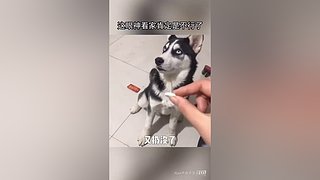 星球大战前线2玩玩看。