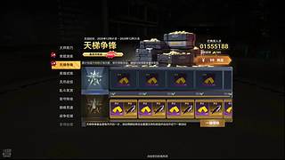 菜鸟玩家打巅峰