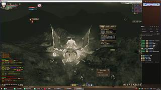 完美国际林子的直播间