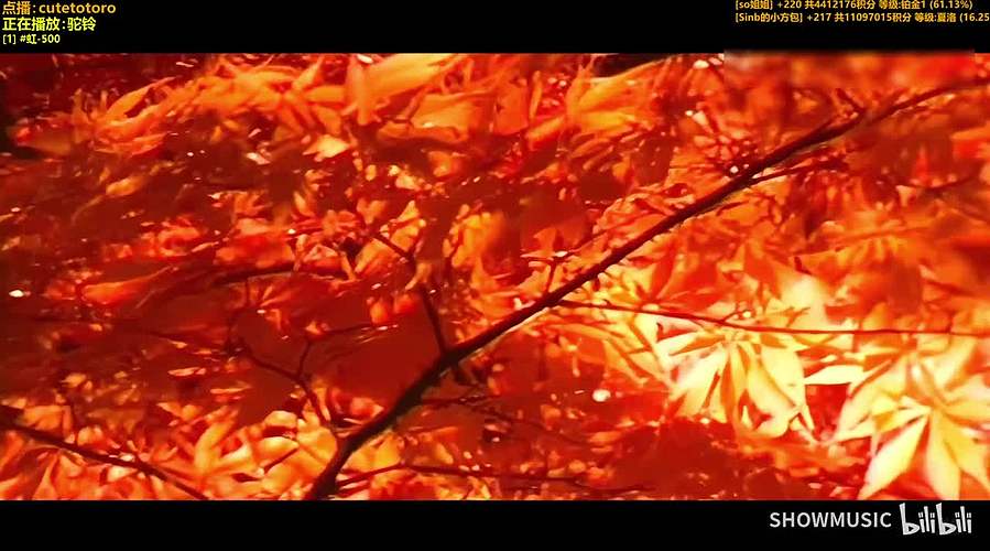 ✨神乐✨人最重要是找到属于自己的世界