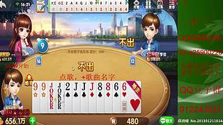 七雀七雀我来了