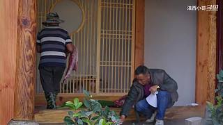 滇西小哥的美食视频