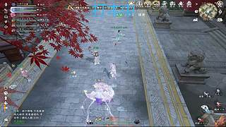 随便进，来吃瓜