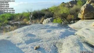 贝爷纪录片 点播，点播单，在鱼吧置顶！