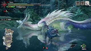 猫五度的四个神选气息