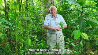 [大自然纪录片]24小时轮播