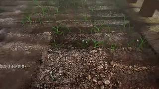 这个游戏是现实吗~~~