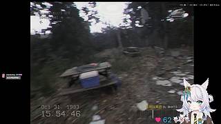 双倍：晚尚好，拌饭总比困难多