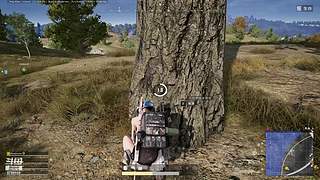 打枪娱乐一下5788169