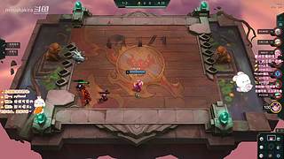 宠物防御战概况宣传大使