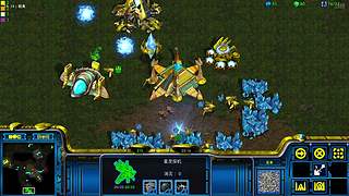 mtn猴子星际争霸