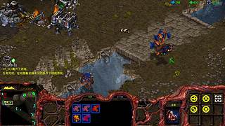 mtn猴子星际争霸