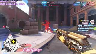 【鸽酱】新的一月 多多关照