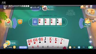 八雀狗都不玩！！！！