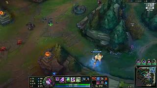 周三不打本，打本到周三 667145