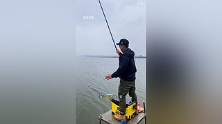 亮gnailux的直播间