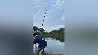 亮gnailux的直播间