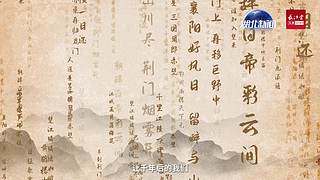 建设先行区 奋进新征程