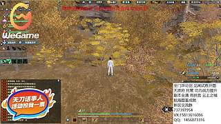 办卡看号 论剑 神思萌新攻略