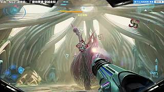 今天中午12点开播