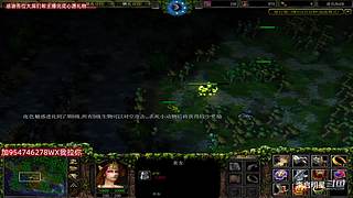 魔兽达尔文进化岛直播间