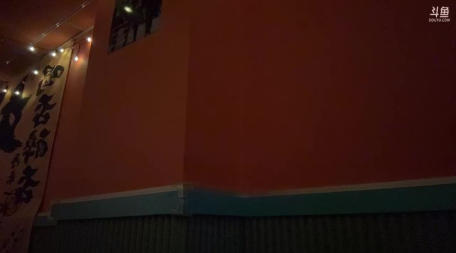 陈总请我吃东北菜