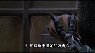 伴你入梦的娱乐科普