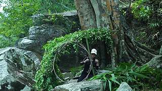 户外丛林生存轮播