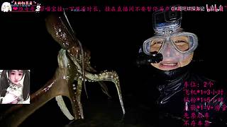 哈基米哦 南北绿豆