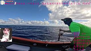 哈基米哦 南北绿豆