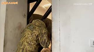 直接把狮子推下水！俄罗斯饲养员太勇敢了