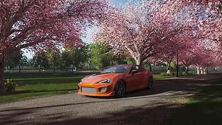 风景-----马拉松