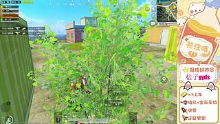 带粉    猛攻猛攻