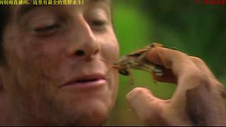 荒野求生，带大家体验不一样的生活