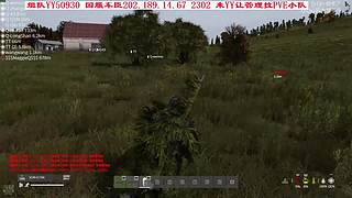 Dayz张鱼，一起玩